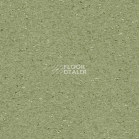 Линолеум Tarkett iQ Granit FERN 0405 фото 1 | FLOORDEALER